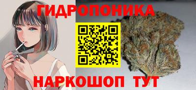 дживик Новодвинск
