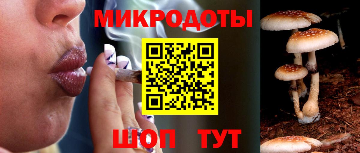 купить наркоту  Галлюциногенные грибы Psilocybine cubensis  Псилоцибиновые грибы мицелий  Вход с VPN  Тайшет 